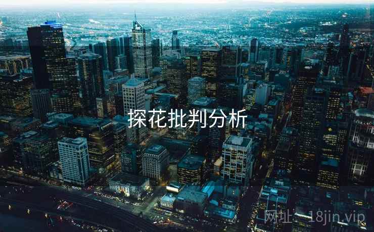 探花批判分析  第2张 探花批判分析  第2张
