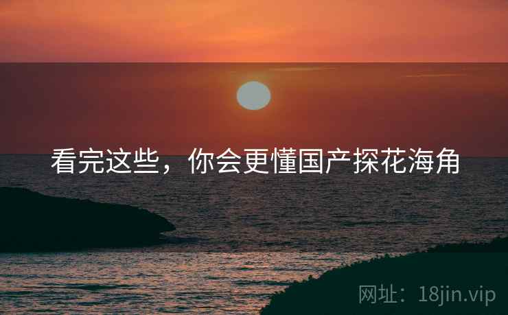 看完这些,你会更懂国产探花海角