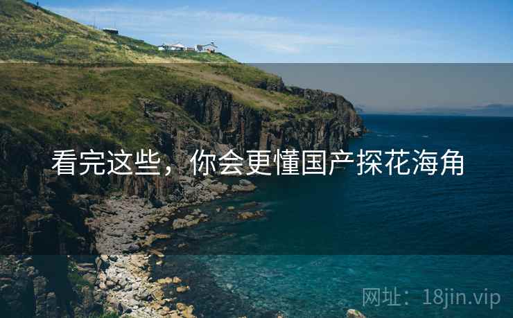 看完这些,你会更懂国产探花海角