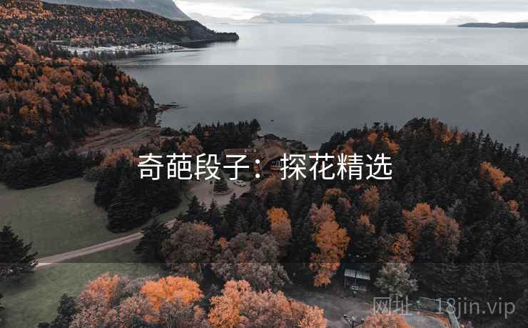 奇葩段子:探花精选