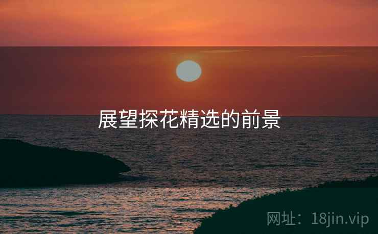 展望探花精选的前景