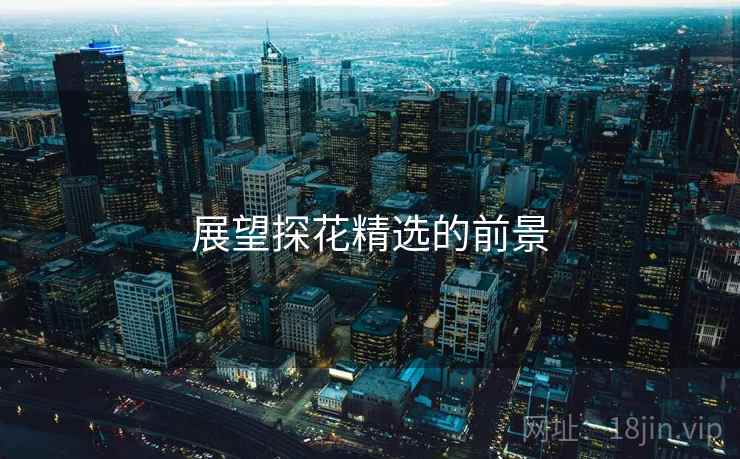 展望探花精选的前景