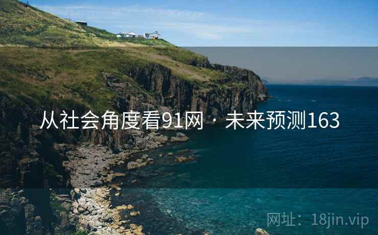 从社会角度看91网 · 未来预测163