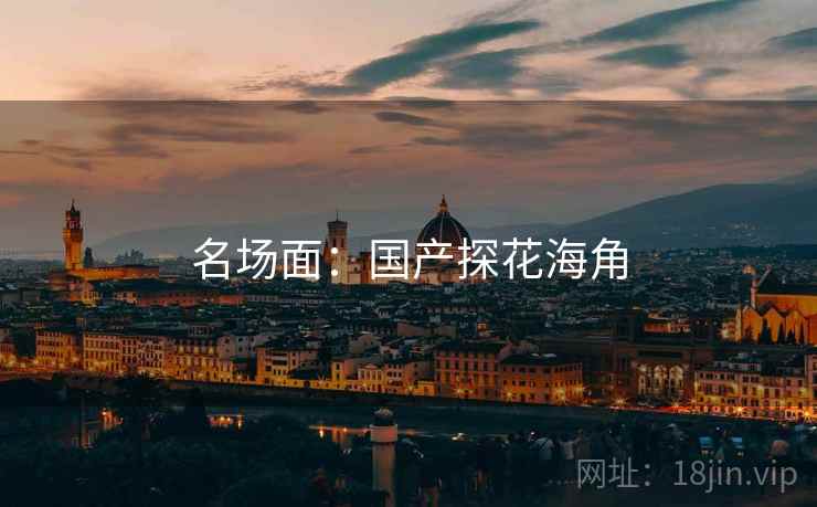 名场面:国产探花海角