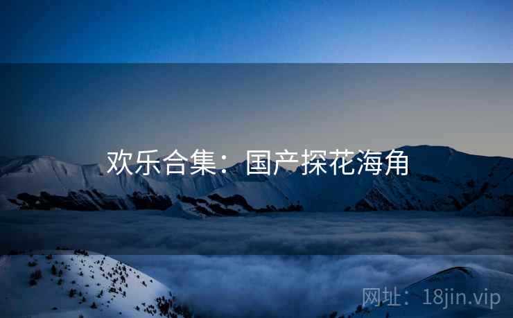 欢乐合集:国产探花海角