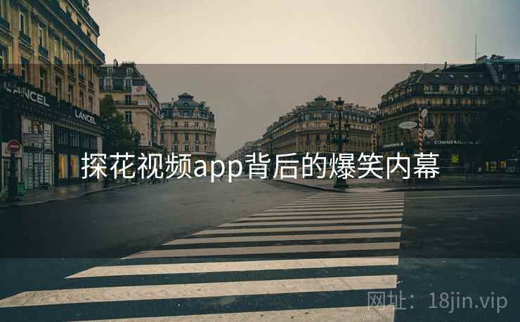 探花视频app背后的爆笑内幕