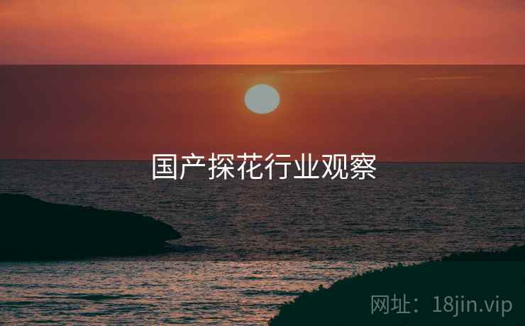 国产探花行业观察