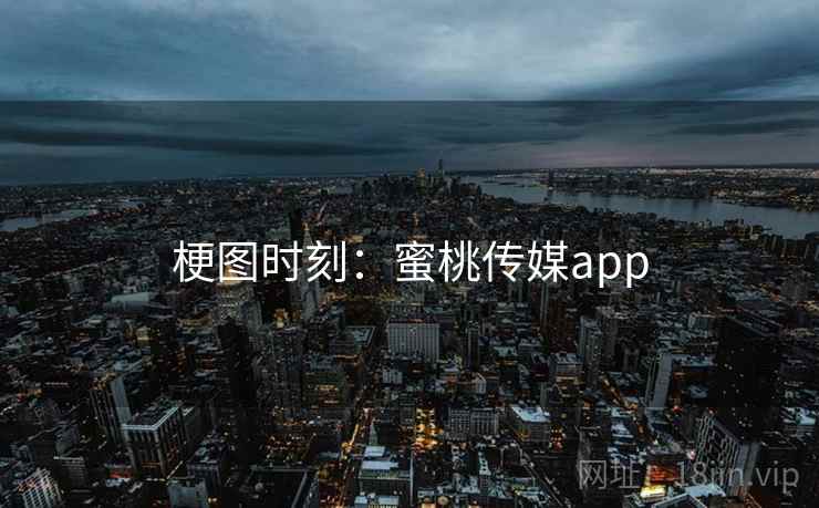 梗图时刻:蜜桃传媒app