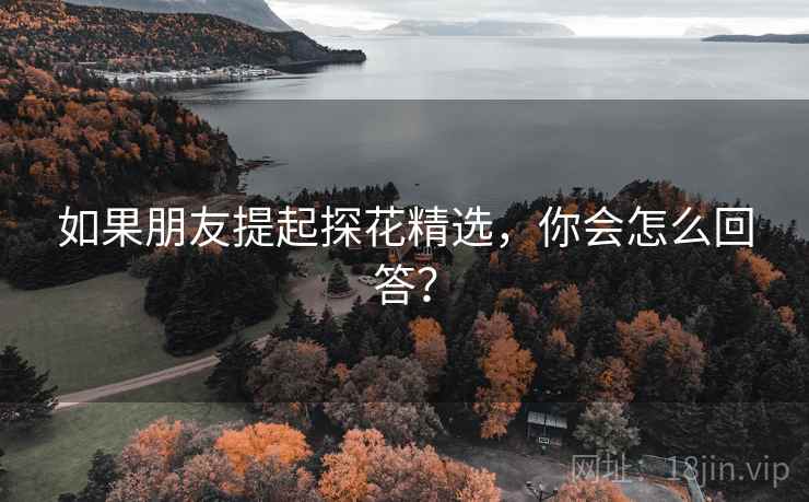如果朋友提起探花精选,你会怎么回答?