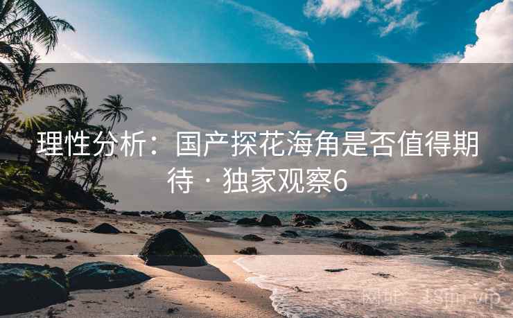 理性分析:国产探花海角是否值得期待 · 独家观察6