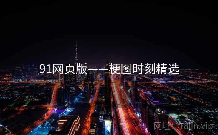 91网页版——梗图时刻精选