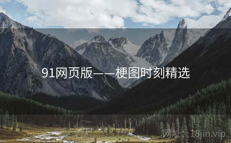 91网页版——梗图时刻精选