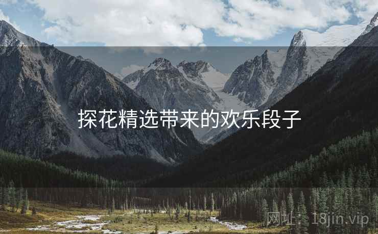 探花精选带来的欢乐段子