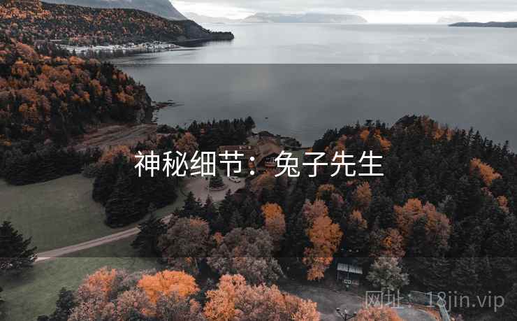 神秘细节:兔子先生  第1张 神秘细节:兔子先生  第1张