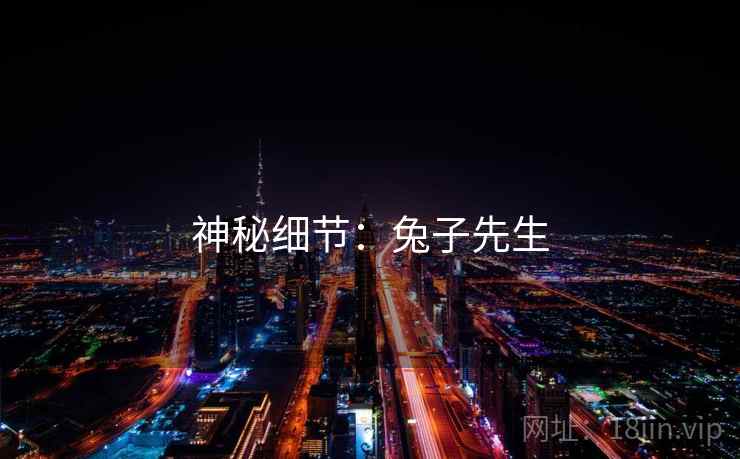 神秘细节:兔子先生  第2张 神秘细节:兔子先生  第2张