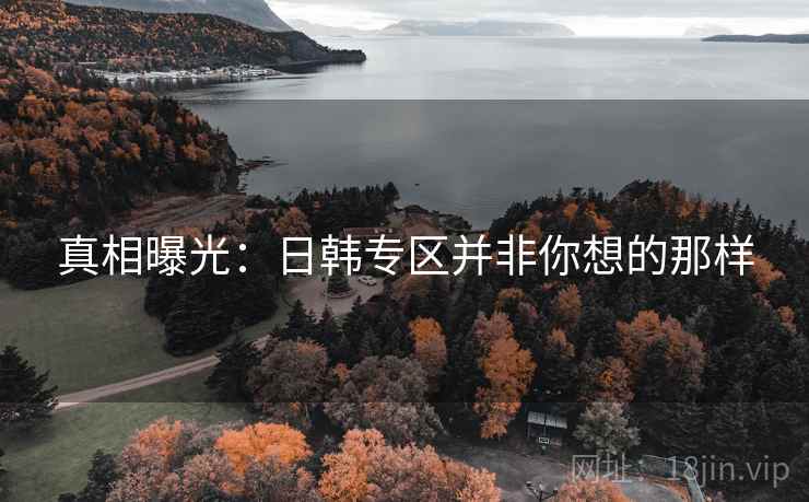 真相曝光：日韩专区并非你想的那样  第2张