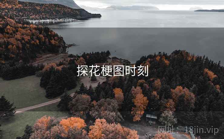 探花梗图时刻  第1张 探花梗图时刻  第1张